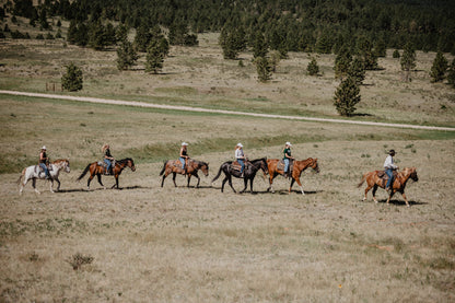 Montana Dude Ranch with Rachel Metz