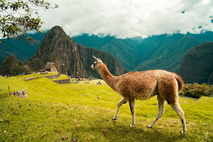 Peru and Machupicchu with Kyle